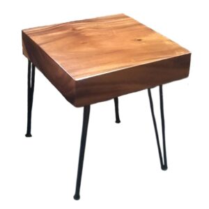 16" x18" Acacia Stool with Iron Legs