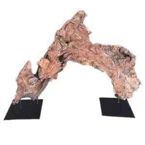 Large Arched Teak Root on Stand